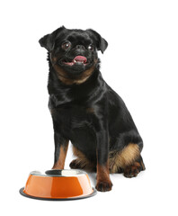 Cute dog waiting for pet food near empty bowl on white background