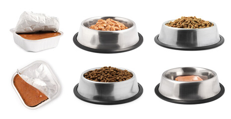 Dry and wet pet food on white background, set