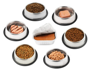Dry and wet pet food on white background, set