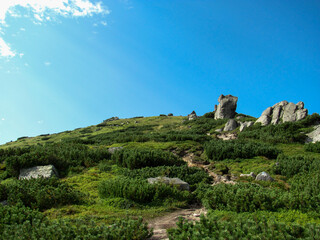 Scenic view of green hills under a clear blue sky