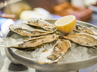 Plate of oysters on ice