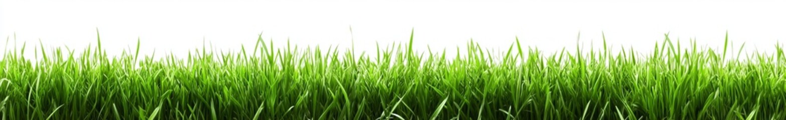 A transparent background featuring a green grass border and the horizon of a green field
