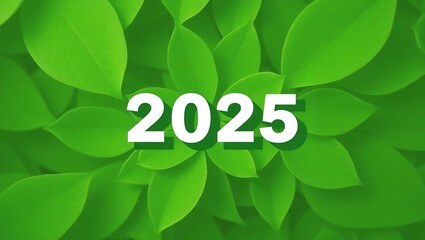 Eco-Friendly and Climate-Sensitive New Year: Sustainable Business Practices for a Greener Future