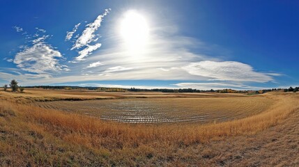 Fototapeta premium Midday Sun Over Struggling Rural Farmland
