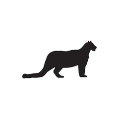 leopard vector illustration, leopard silhouette symbol icon illustration. 