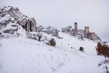 Wzgórze Zamku w Olsztynie. © Tomasz Warszewski