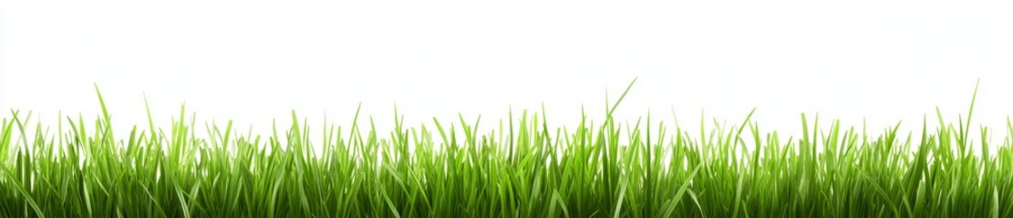 Obraz premium Green grass turf illustrated in 3D, isolated on a white background with an alpha mask for easy extraction