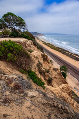 A rocky cliff overlooking the ocean with a tree in the foreground