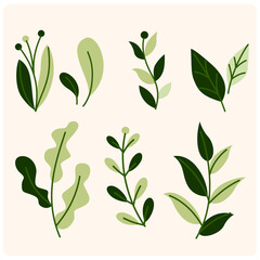 Lush green leaves with background cream