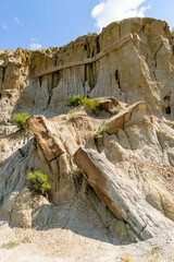 Cannonball Concretions