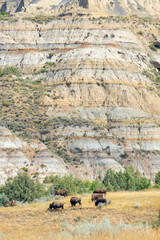 South Unit Scenic Drive