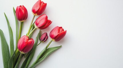 Elegant wedding invitation card background vector. Minimal hand painted watercolor botanical flowers texture template background. Design for wedding, vip cover, poster, rsvp moderncard.Valentine's Day