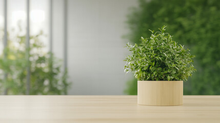 Lush green plant in wooden pot on light wood surface in minimalist indoor setting