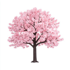 Fototapeta premium beautiful pink tree with blossoms isolated on white background