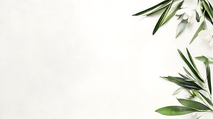 White flowers and green leaves on white background