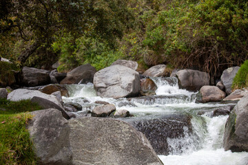 waterfall in the forest