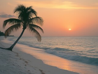 Fototapeta premium A serene beach scene at sunset with a palm tree and gentle waves.