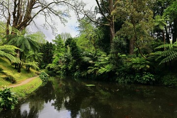 Lush Tropical Garden with Serene Pond