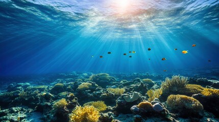 Fototapeta premium Serene Underwater Landscape with Ambient Light Effects