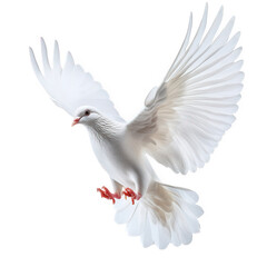 Obraz premium a graceful white dove is captured mid-flight. showcasing its expansive wings and elegant posture against a plain background symbolizes peace and freedom. making it suitable for various contexts. inclu