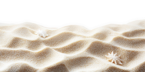 serene beach scene with gentle sand dunes and two delicate seashells resting on the surface. evoking a sense of calm and relaxation the soft. undulating texture of the sand contrasts beautifully with