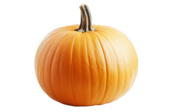 vibrant. round pumpkin with a smooth. orange skin and a prominent stem the pumpkin is set against a plain white background. emphasizing its color and shape. making it ideal for seasonal decoration. co