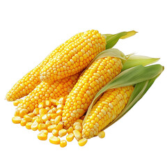 several ears of corn. with vibrant yellow kernels and green husks. arranged attractively with some kernels scattered around it highlights the natural beauty and freshness of corn. often used in cookin