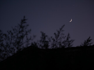 The moon in the twilight sky. Tree branches sway in the foreground. Pula, Croatia - January 3, 2025