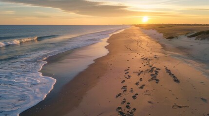 Obraz premium Footprints Leading Toward Ocean Along Sunset Beach for Travel and Scenic Content 