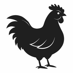 chicken, rooster isolated on white