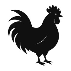 chicken, rooster isolated on white