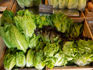 Close up of fresh green lettuce salad in the market. Healthy food concept.