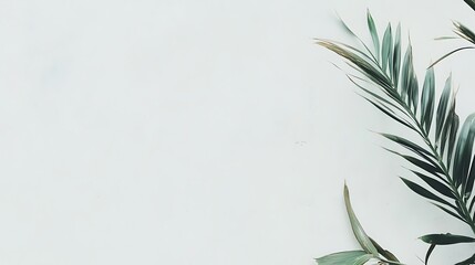 Naklejka premium Green palm leaves against a white wall background