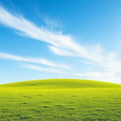 Fototapeta premium green field and blue sky with clouds