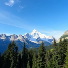 Fototapeta premium mt rainier national park