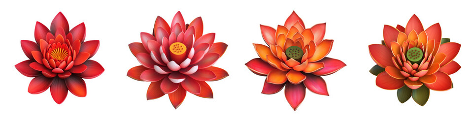 Obraz premium Vibrant lotus flowers in various shades of red and orange, showcasing beauty and elegance
