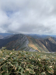 beautiful view of the mountains