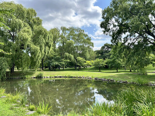 beautiful view of the park