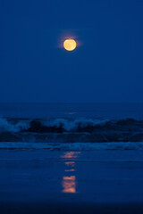 Full moon over the ocean in the evening © Tonia