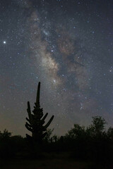 Abnormal saguaro cactus and the milky way