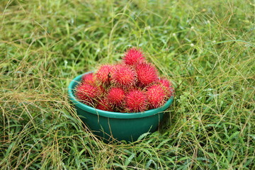 A close up view of a very red 