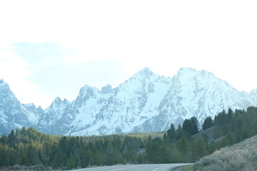 snow covered mountains