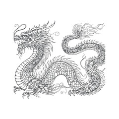 Hand-drawn Dragon Vector Outline Illustration 