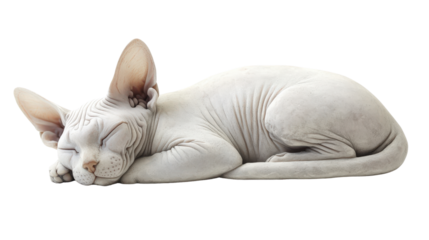 Sleeping cat sculpture with detailed features and texture