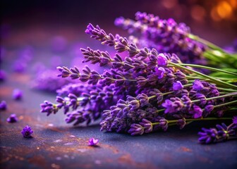 Fototapeta premium Lavender Blossoms on Purple Background - High Depth of Field