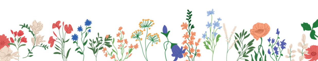 Wildflower border decoration. Horizontal design featuring meadow blossoms and delicate floral branches. Blooming field flowers create a botanical natural banner. Flat vector illustration.