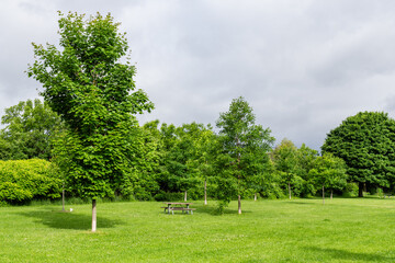 Footpath in the green city park in Toronto Ontario - Green meadow with trees to relax