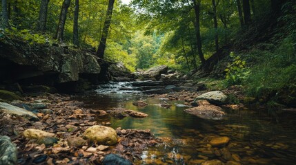 Prime Rib WIth Golden Roasted Potatoes. Copy Space