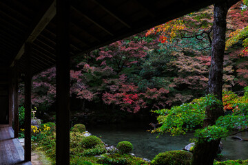 秋に染まり狂う蓮華寺