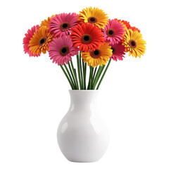 Colorful gerbera daisies bouquet in a white vase isolated on white or transparent PNG